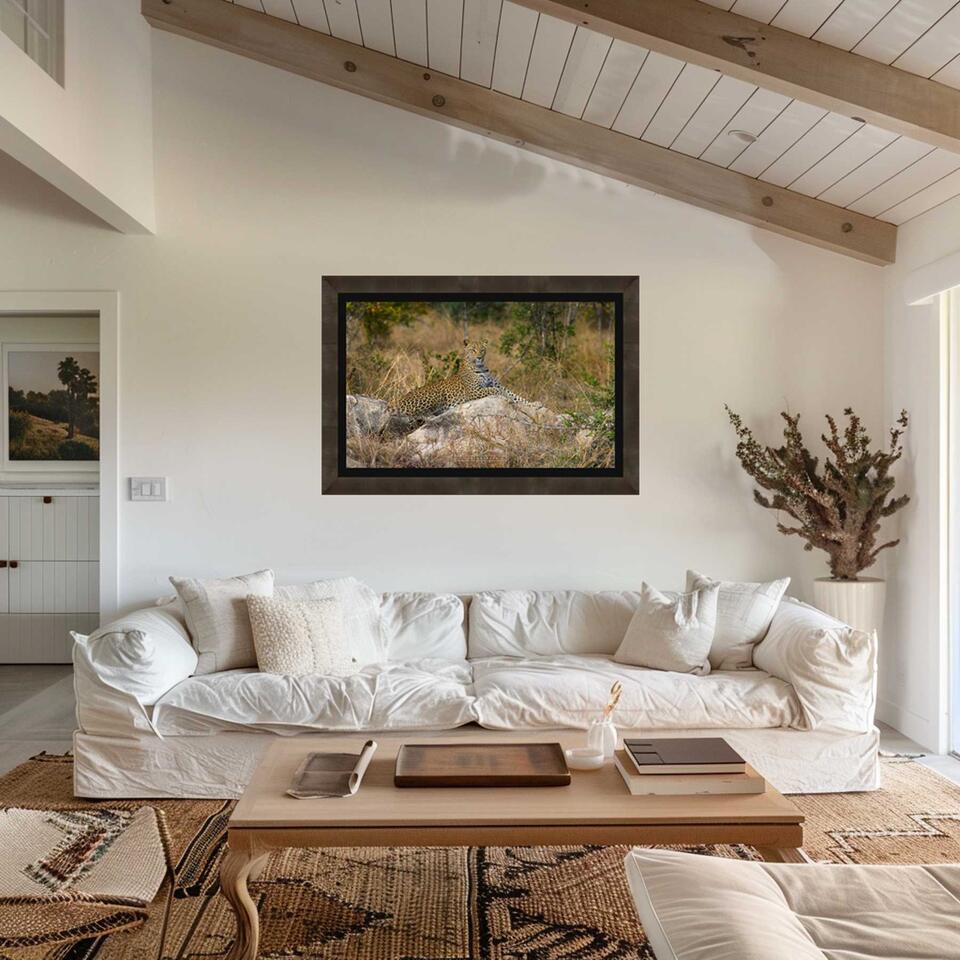 FRAMED CHROMALUXE® METAL PRINTS (ready to hang)