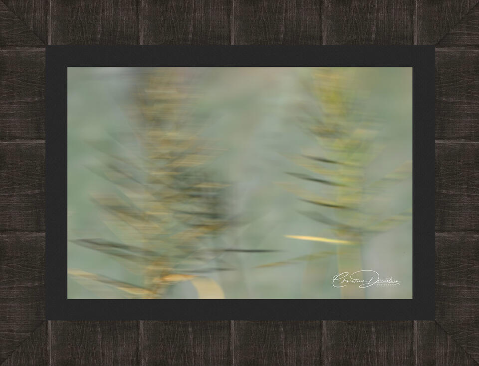 print preview