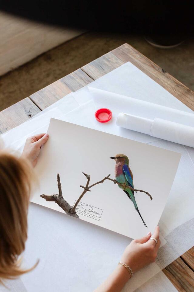  print preview