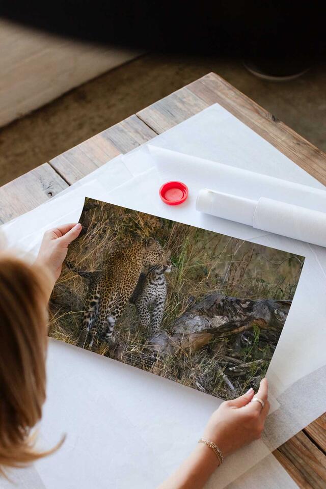 print preview