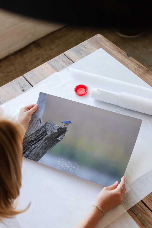 print preview