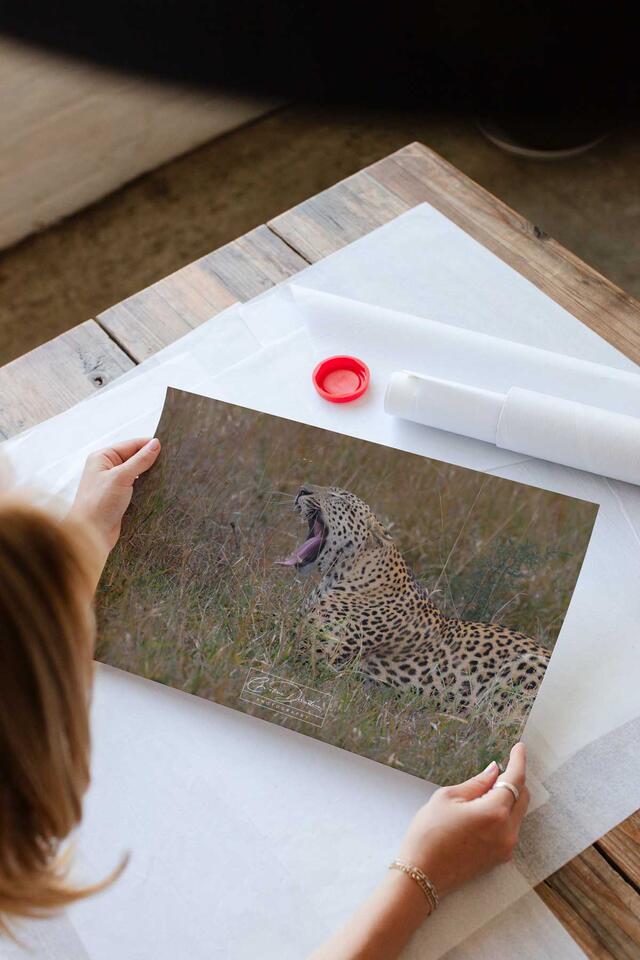 print preview