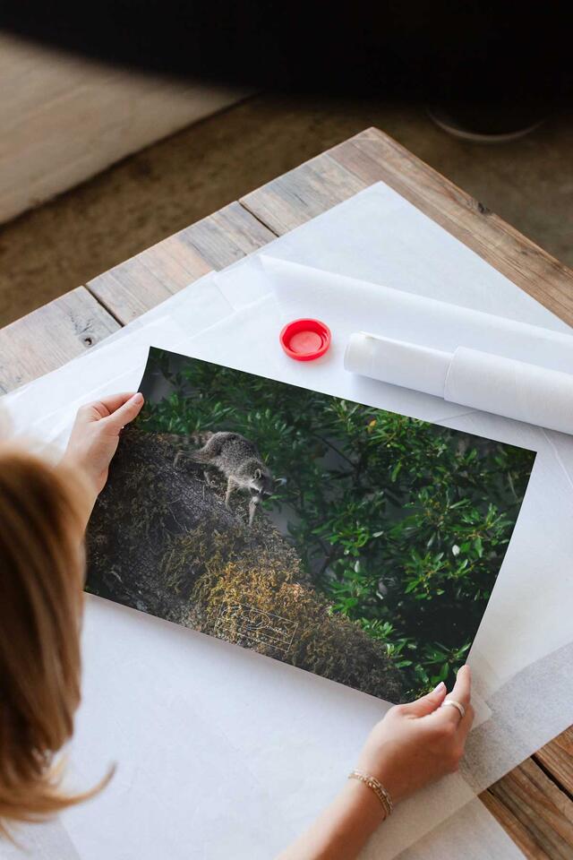 print preview