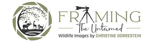 Framing The Untamed, LLC